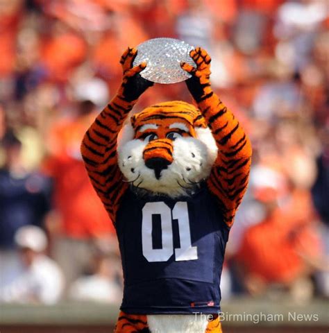 Auburn universitu mascot